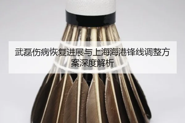 wu-lei-shang-bing-hui-fu-jin-zhan-yu-shang-hai-hai-gang-feng-xian-tiao-zheng-fang-an-shen-du-jie-xi-2-977.jpg