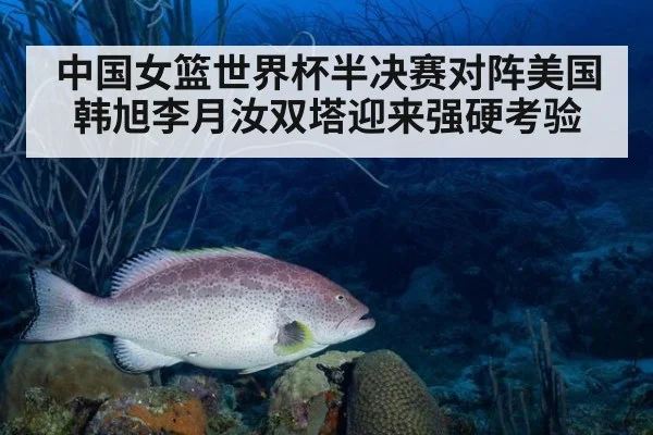 中国女篮世界杯半决赛对阵美国 韩旭李月汝双塔迎来强硬考验