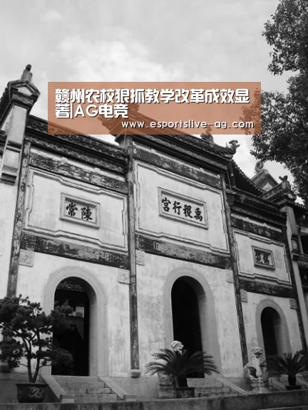 AG竞猜