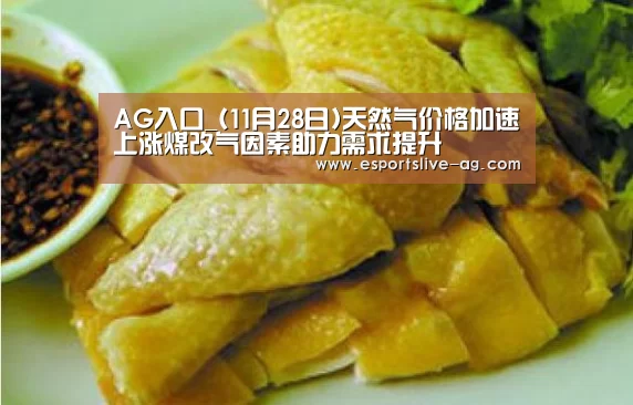 AG入口_(11月28日)天然气价格加速上涨煤改气因素助力需求提升