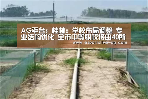 AG竞猜