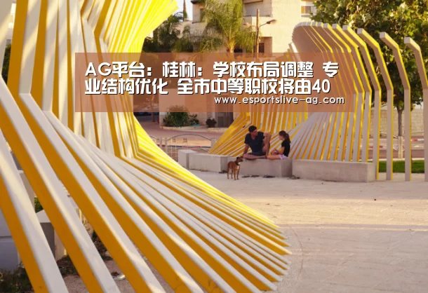 AG平台：桂林：学校布局调整　专业结构优化　全市中等职校将由40所调整为24所