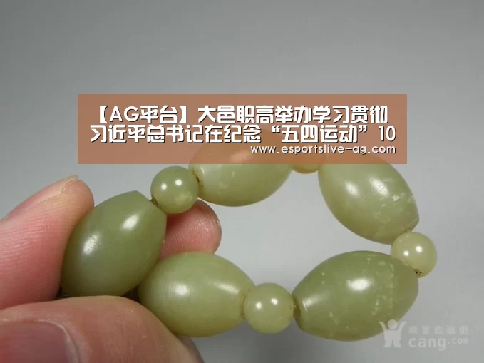 【AG平台】大邑职高举办学习贯彻习近平总书记在纪念“五四运动”100周年大会重要