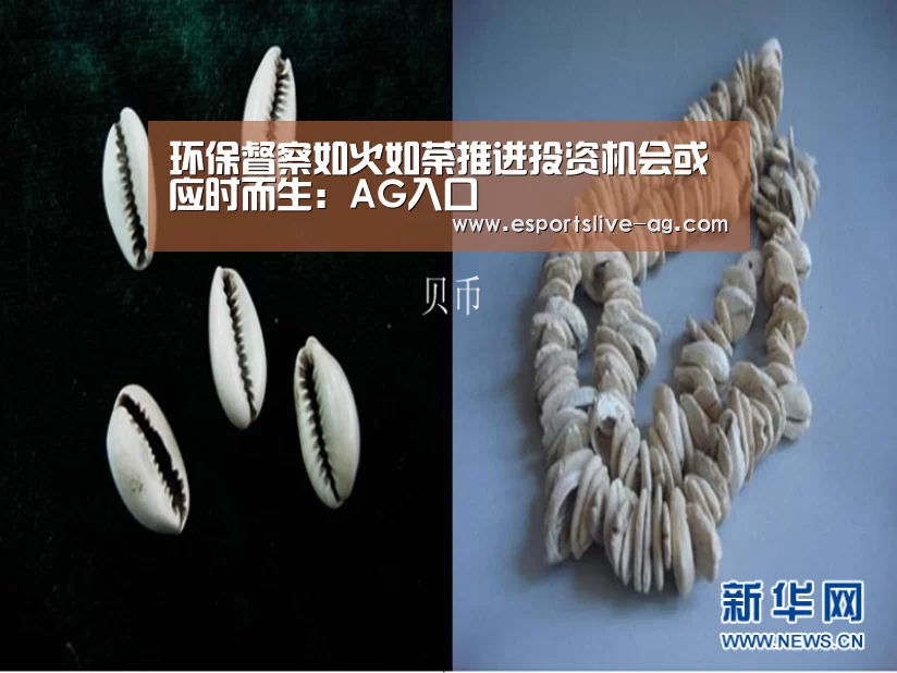 环保督察如火如荼推进投资机会或应时而生:AG入口(图3) AG入口