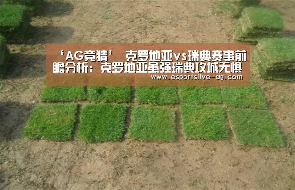 AG电竞