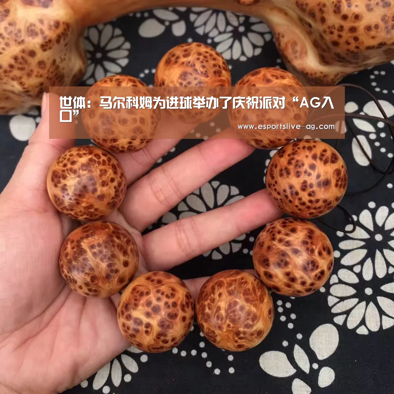 AG竞猜