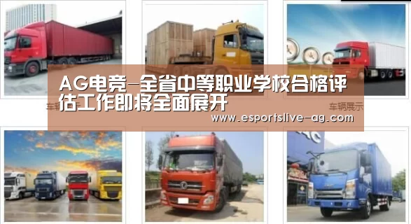 AG电竞-全省中等职业学校合格评估工作即