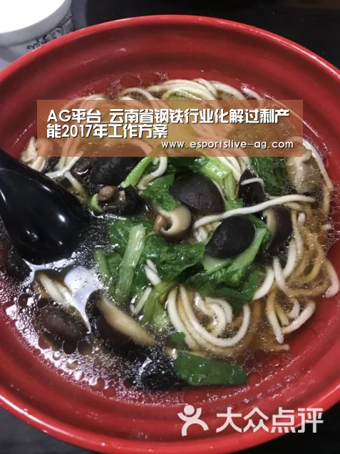 AG平台_云南省钢铁行业化解过剩产能2017年工作方案(图4) AG入口