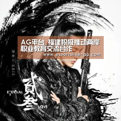 AG平台_福建积极推动两岸职业教育交流合
